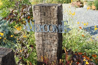 20111102-犬たち 839.jpg